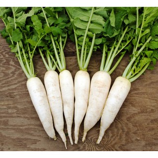 Củ Cải Trắng RĐ 100 gr - RẠNG ĐÔNG