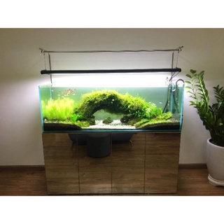 Giá treo đèn inox 304