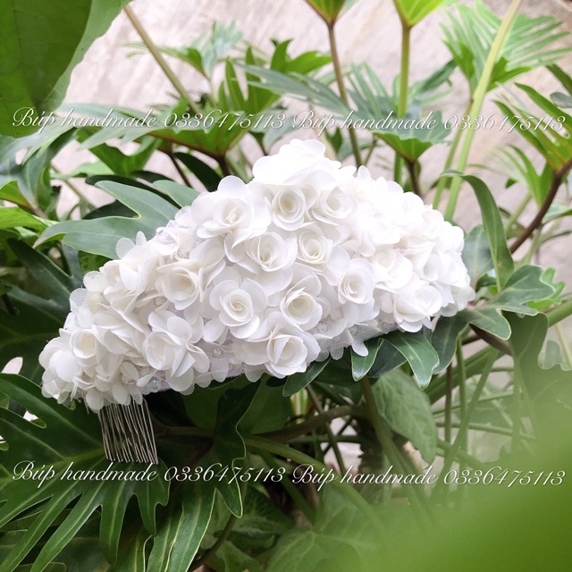 Vương miện hoa cô dâu