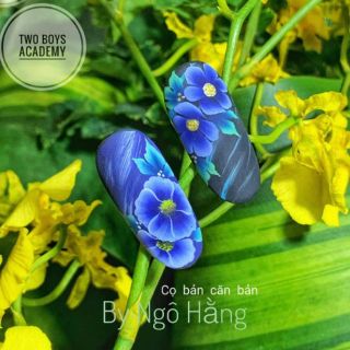 Cọ bản vuông - Cọ bản hàn quốc cọ số 1