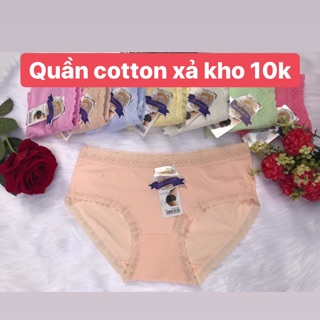 Quần lót cotton xả kho 10k