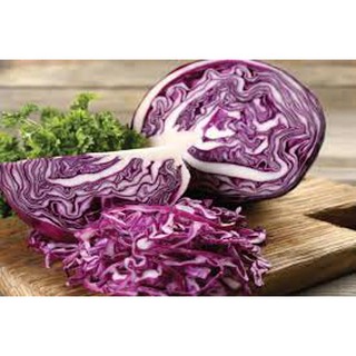Hạt giống bắp cải tím kazo