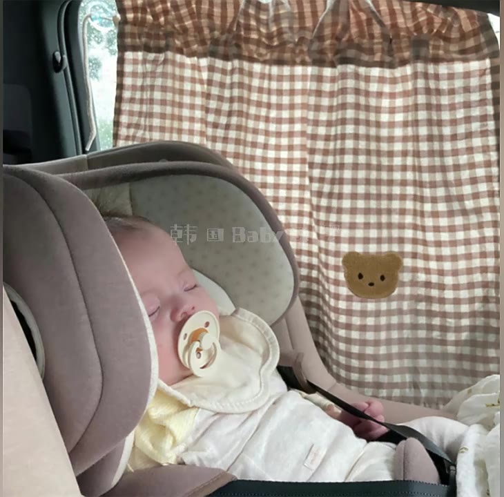 Top 6 Rèm Ô Tô Cho Bé 1 Tuổi Đáng Mua Nhất Năm 2026