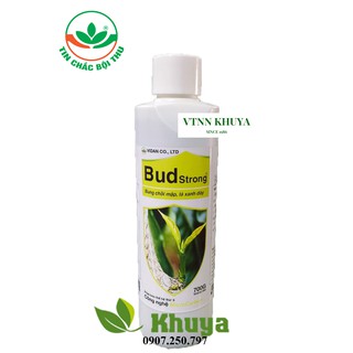 Phân bón Vidan Bud Strong 500ml Bung Chồi - Mập Lá - Xanh Dày