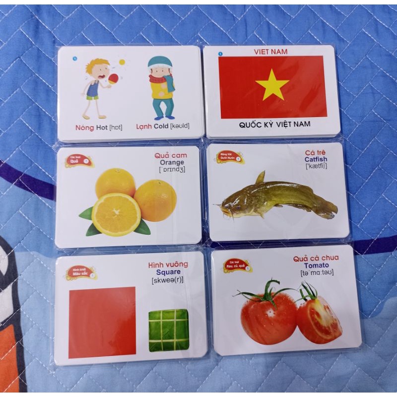 Bộ thẻ học thông minh, thẻ nhận biết học sinh 16 chủ đề song ngữ anh việt theo phương pháp Glenn Doman