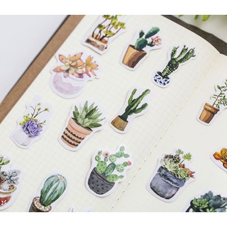 Hộp sticker chậu cây cute