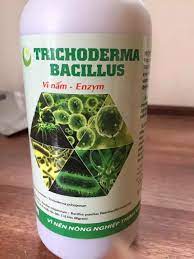 Chế phẩm Trichoderma Bacillus dạng nước ức chế nấm chai 100ml