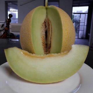 Dưa lưới