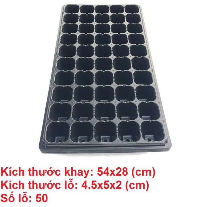 Combo 5 khay ươm hạt 50 lỗ, hàng loại 1 chất lượng cao