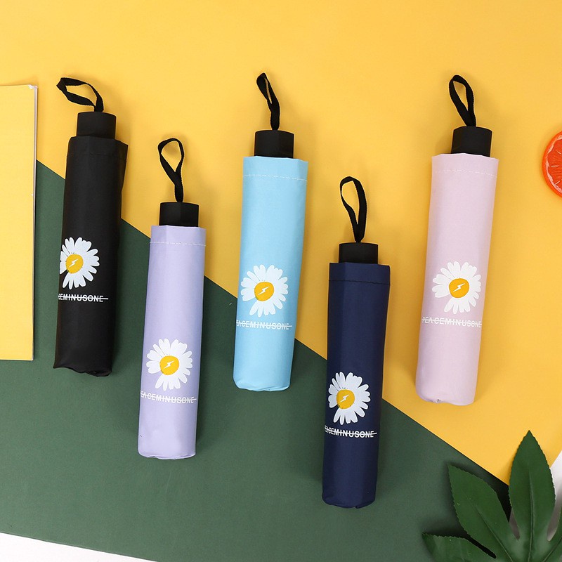 Ô Hoa Cúc Gấp Gọn-Hàng Mới Về