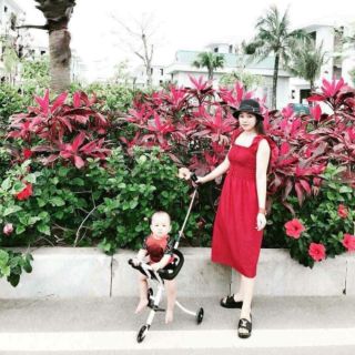 Xe đẩy 3 bánh