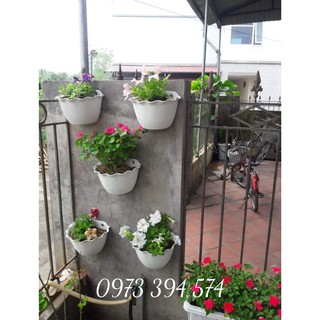 Chậu Nhựa Treo Ban Công Trồng Cây Cảnh