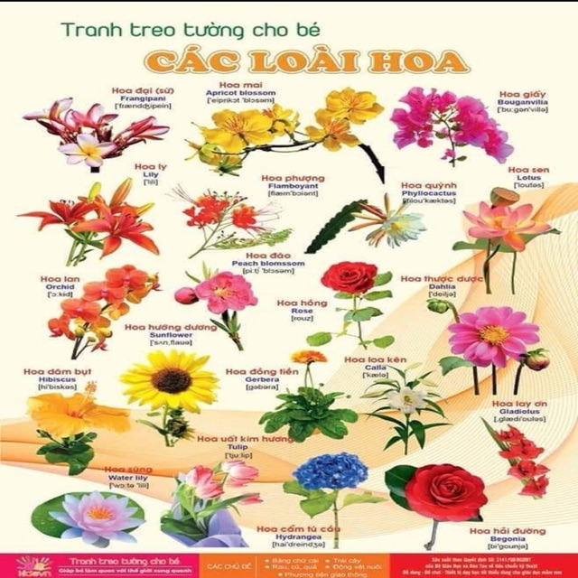 Bộ Tranh Treo Tường Cho Bé