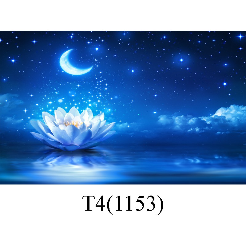 Tranh 3d dán bể cá trang trí bể cá nhiều kích thướt chọn lựa