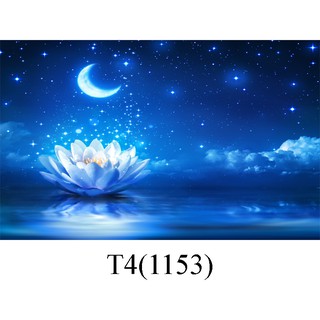 Tranh 3d dán bể cá trang trí bể cá nhiều kích thướt chọn lựa