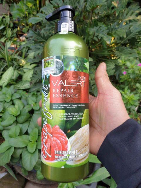 Dầu gội bưởi cặp