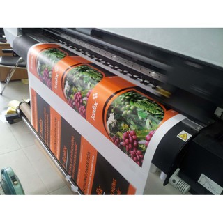 In Standee 0.6x1.6m - Chất liệu PP tráng keo