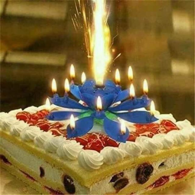 Nến sinh nhật 3D tự động nở hoa - xoay tròn - phát nhạc sinh nhật