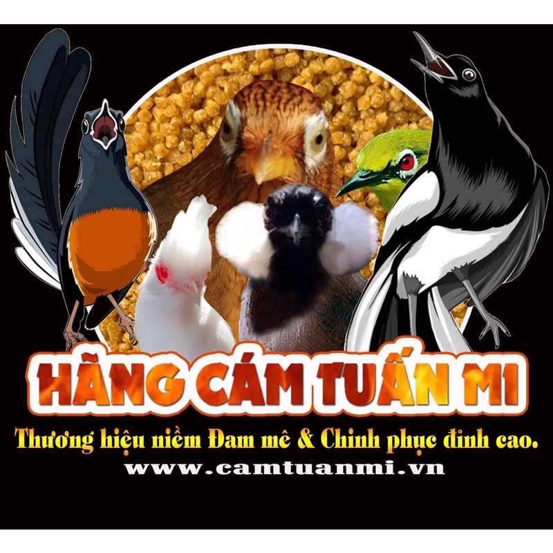 CÁM KHƯỚU VIP TUẤN MI