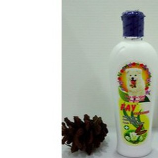 Dầu Tắm FAY Curcumin