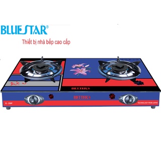 Bếp ga đôi Bluestar B-250P, kính cường lực, đánh lửa magneto, lửa lên xanh, tiết kiệm gas- hàng chính hãng