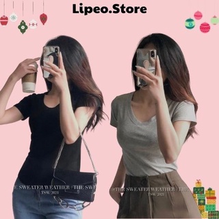 Áo phông trơn basic nhiều màu, áo phông cổ V ôm body, Lipeo.store
