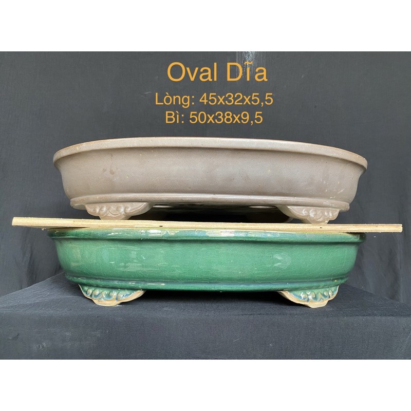 Chậu bonsai Oval Dĩa