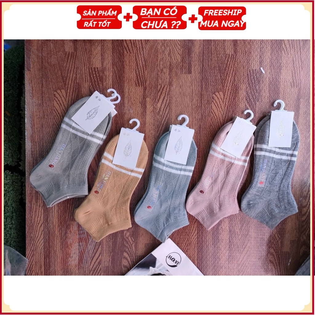 PVN38162 Set 10 Đôi Tất Nữ Cổ Ngắn Phong Cách Hàn Quốc Xinh Xắn Dễ Thương Nhiều Màu T2 .