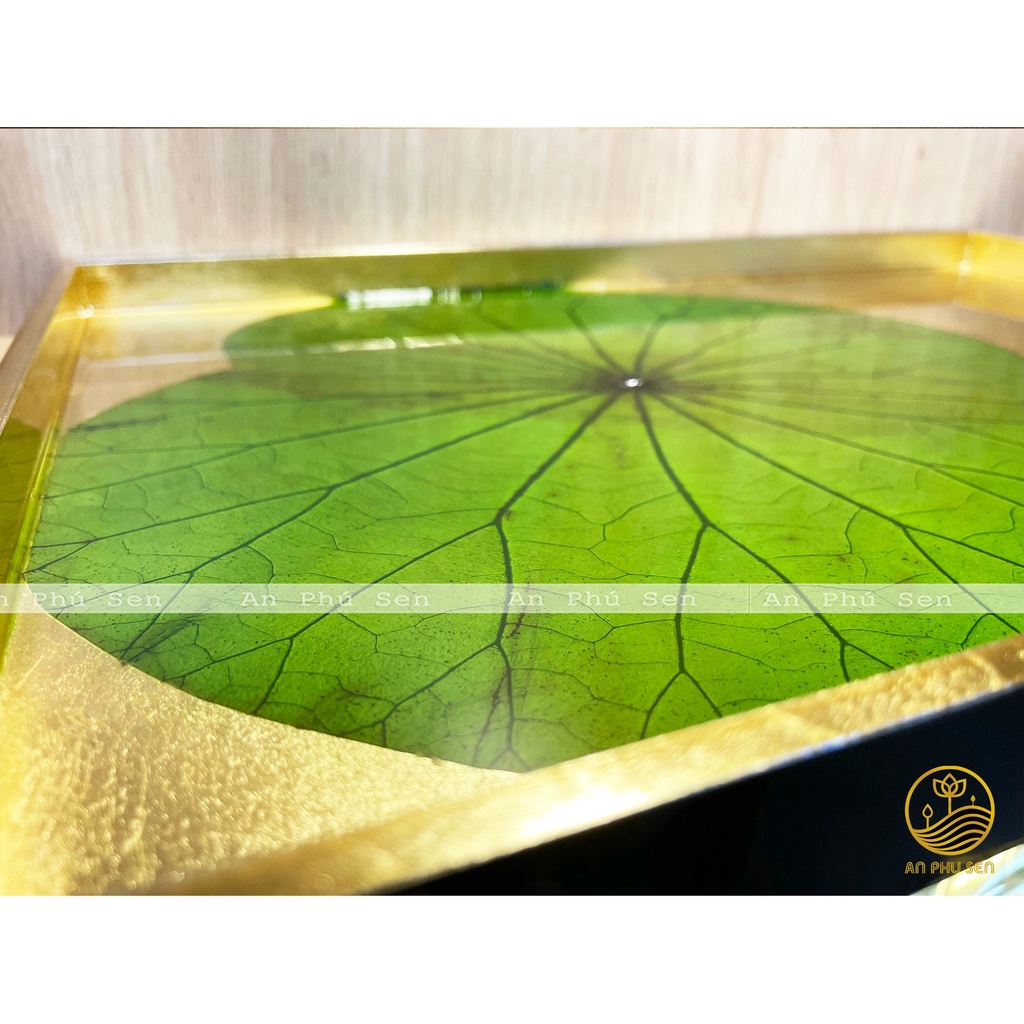 KHAY LÁ SEN THẬT, KHAY TRÀ LÁ SEN, ĐỒ TRANG TRÍ DECOR LÁ SEN