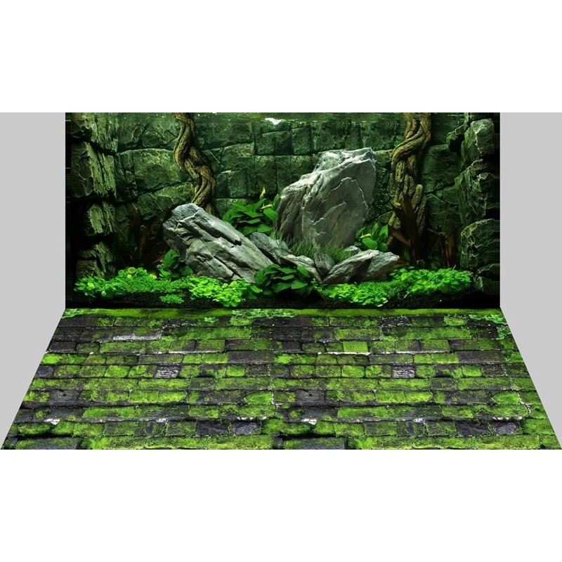 Tranh dán bể cá cá 3d, phông nền hồ cá siêu đẹp và nét, có keo sẵn trên bề mặt,đa dạng kích thước (KTT14-006 & AQB16-161