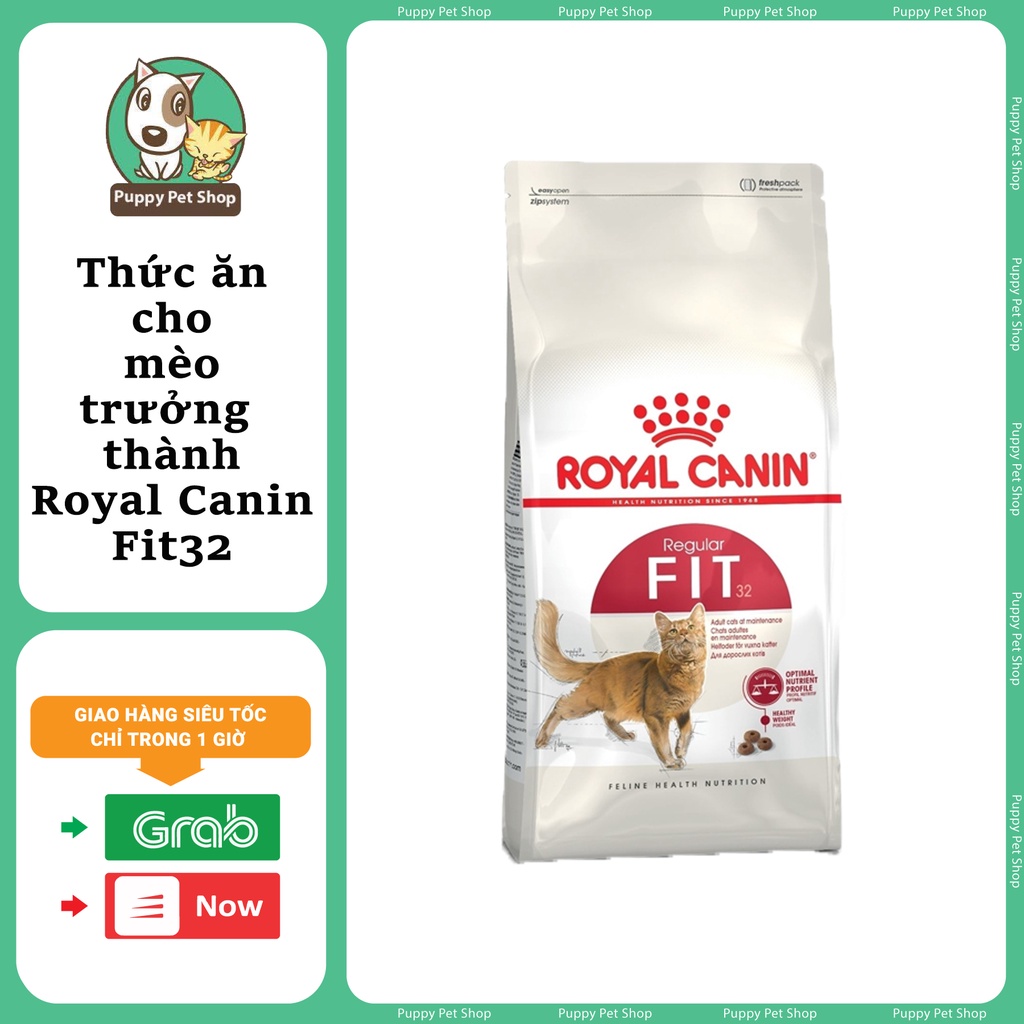 Thức ăn hạt cho mèo trưởng thành - Royal Canin Fit 32 10kg