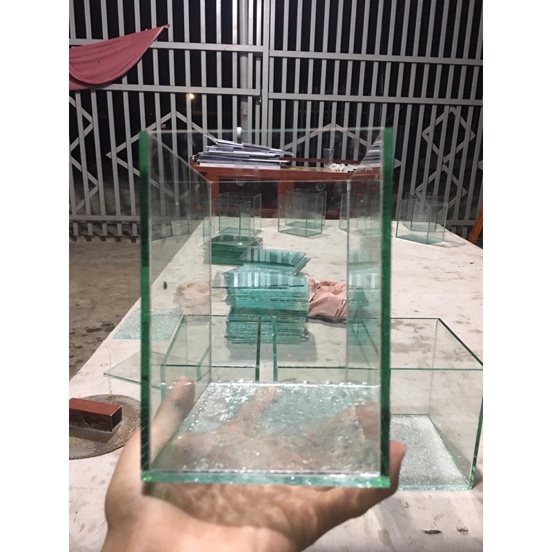 Hồ cá betta,liathia