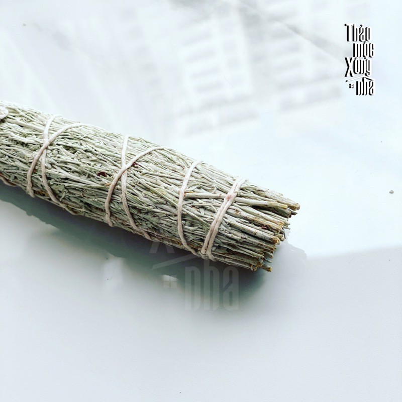 XÔ THỊNH VƯỢNG Thu hút tiền bạc / Sự giàu có / Sự dồi dào (Pine &amp; Mountain Sage) - THẢO MỘC XÔNG NHÀ