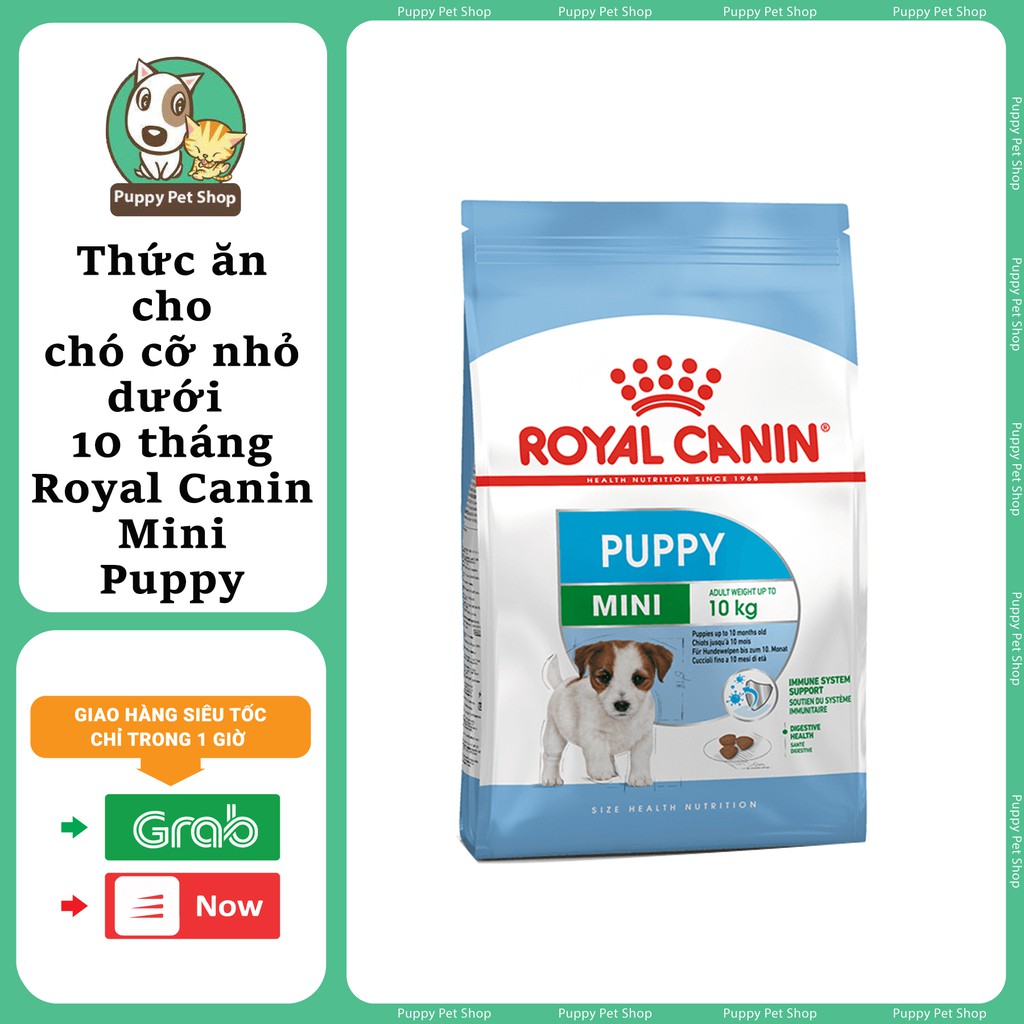 Royal Canin Mini Puppy Thức Ăn Cho Chó Nhỏ Dưới 10 Tháng Tuổi