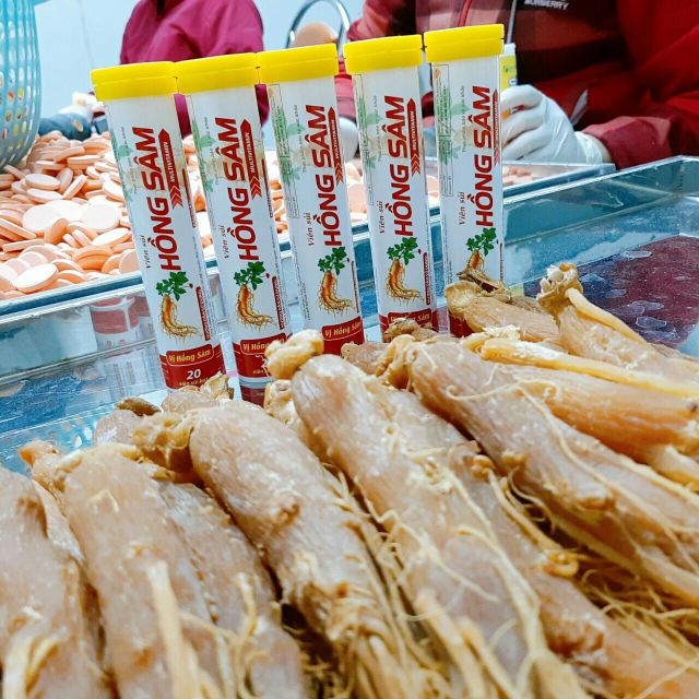 SỦI HỒNG SÂM, SỦI TĂNG LỰC zzs