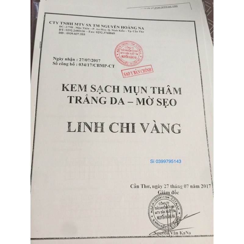 Kem sạch mụn LINH CHI VÀNG 25g