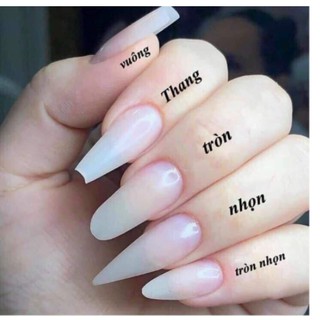 Móng Úp HSM Vuông, Nhọn, Tháng, Bầu, Tròn