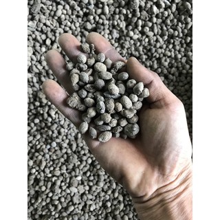 Phân dê đã sử lý nấm trichoderma +lân xanh 1kg