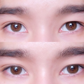 Lens Mắt Màu Nâu Tây Giãn To Kwanusa Có cận