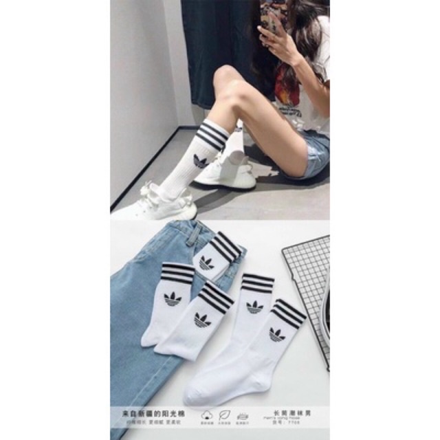 Tất/ Vớ cao cổ thể thao hai màu trắng, đen phong cách hàn quốc kute