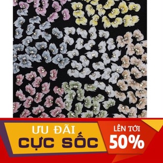Hoa bột nail góc - móng ngắn ( mẫu mới )