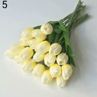 hoa chưng tết