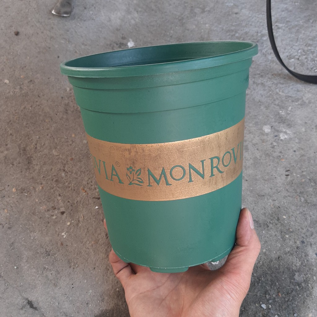 Chậu nhựa trồng cây Monrovia 1GAL (chậu 1 gallon)