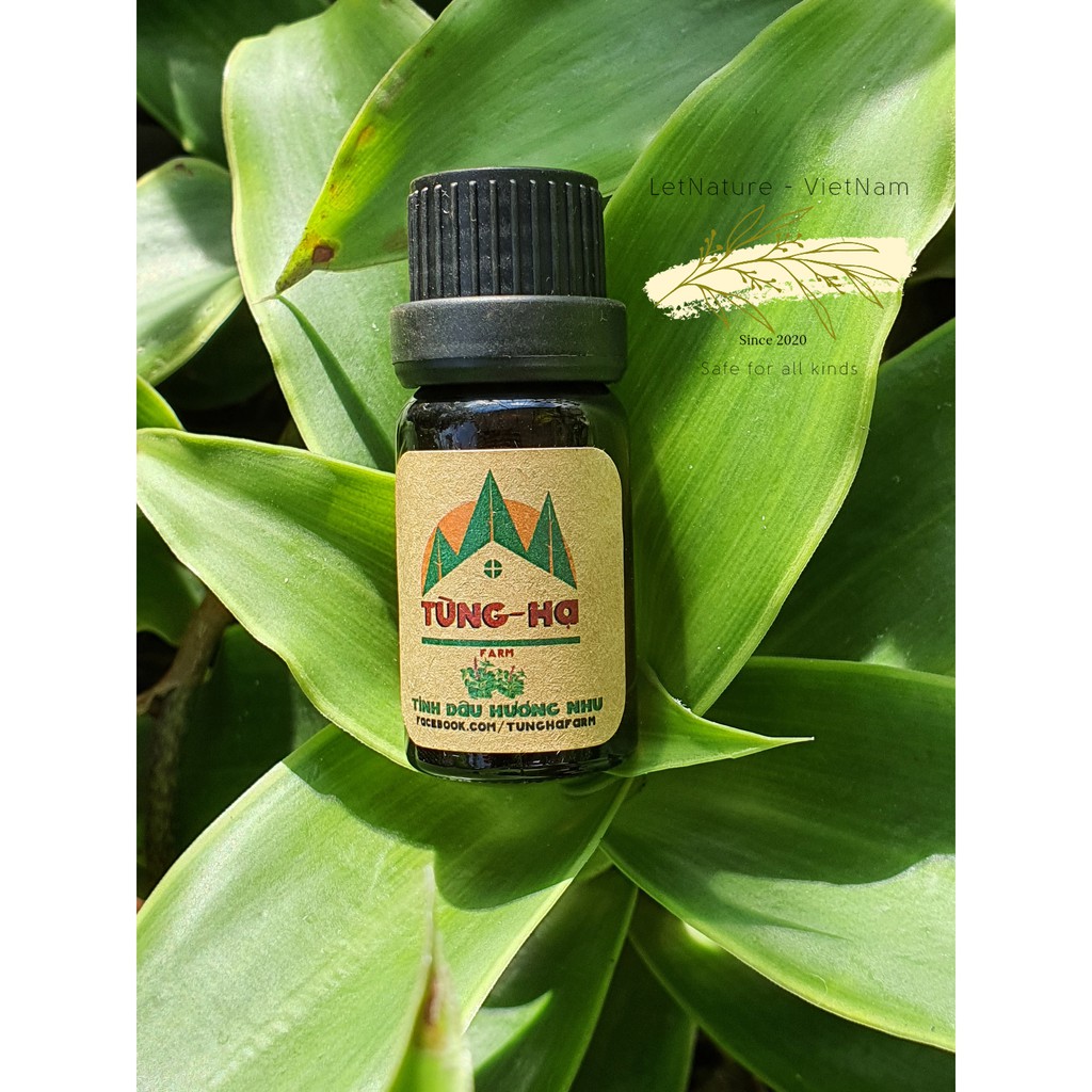 Tinh dầu  Hương Nhu (10ml) - Tùng Hạ