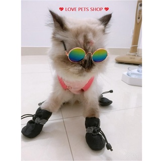 Ảnh chụp GIÀY CHO CHÓ MÈO, GIÀY THỜI TRANG CHO THÚ CƯNG (SET: 4 CHIẾC) ”MẪU MỚI” - LOVE PETS SHOP tại TP. Hồ Chí Minh