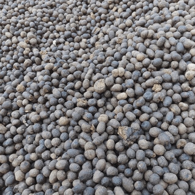 5KG PHÂN DÊ ĐÃ QUA XỬ LÍ