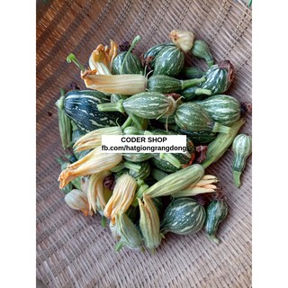 Hạt Giống Bí Nụ Rạng Đông 0.5Gram