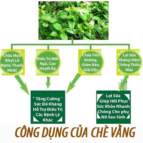 Trà vằng lá sen hỗ cải thiện giấc ngủ tăng cường tiêu hóa giảm mỡ thừa giữ dáng đẹp da lợi sữa cho mẹ bầu sau sinh