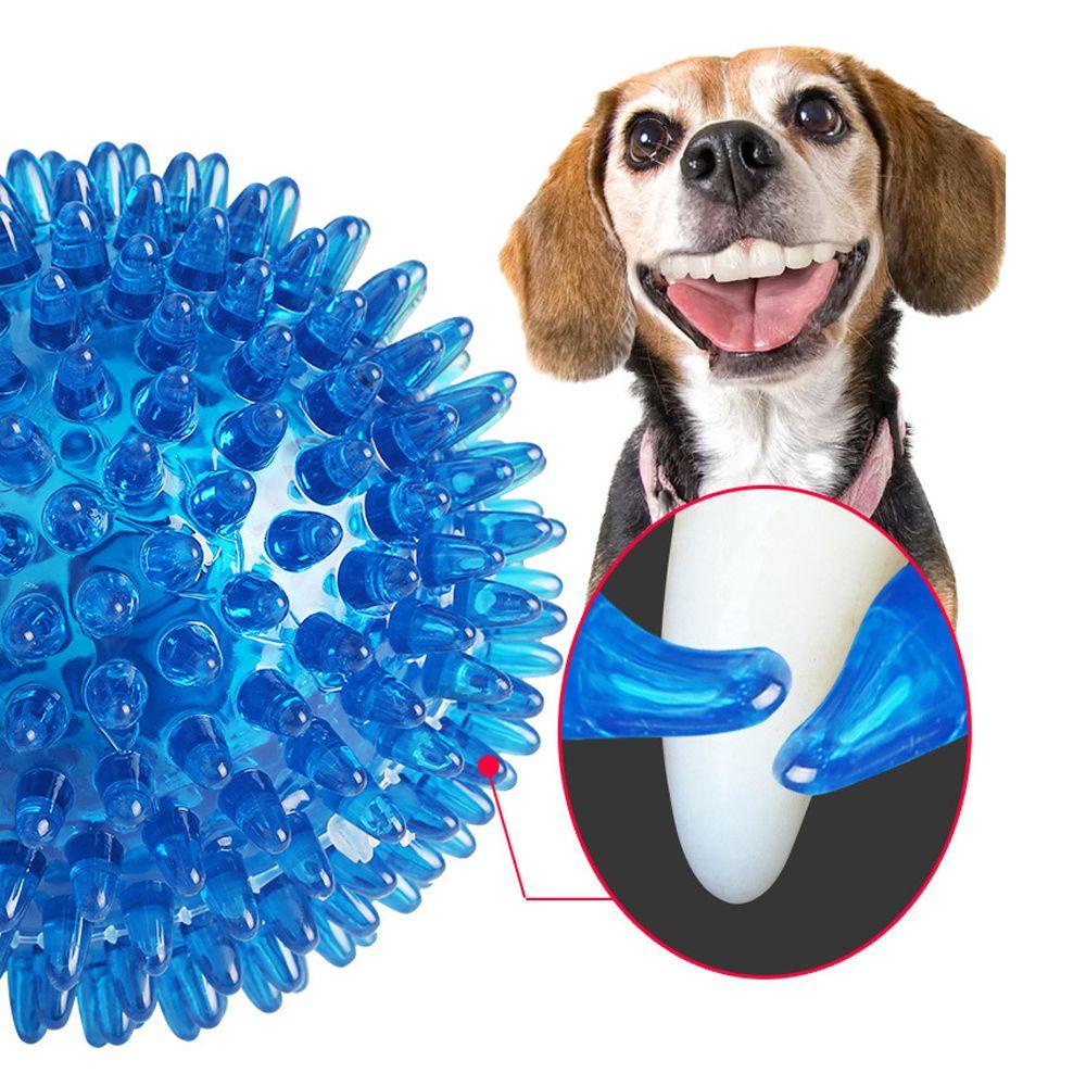 Đồ Chơi Gặm Nhấm Phát Ra Âm Thanh Siêu Bền TPR 1 Cho Thú Cưng