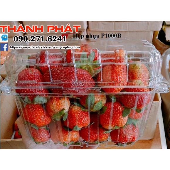 Hộp nhựa P1000B đựng trái cây, cherry, nho - Hộp đựng trái cây 1kg
